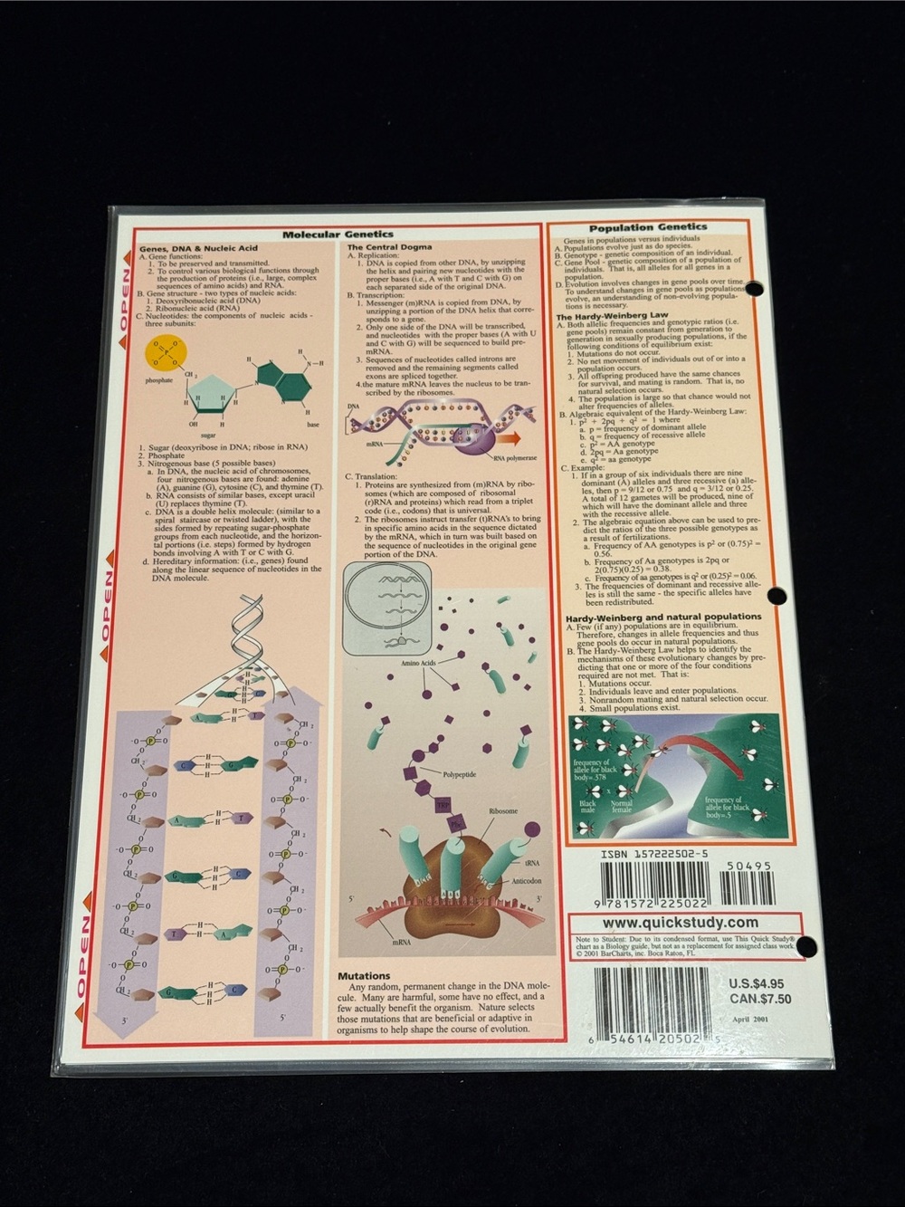 Bar charts, Inc Anatomy Chart and Biology Chart Quick Study Guides - Picture 5 of 6